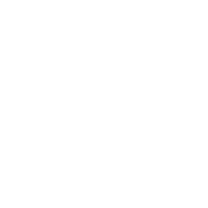 GNL-v1