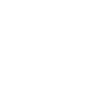 Pemn Logo beyaz Png