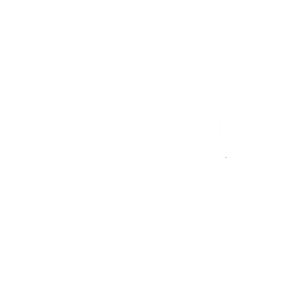 forsit logo copy