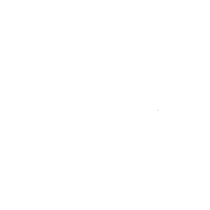 forsit logo copy